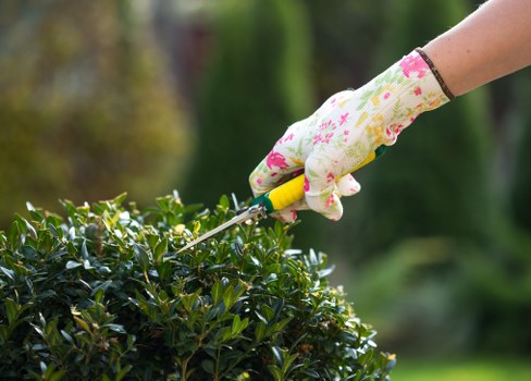 Queenspark garden design and build planning for a residential outdoor space