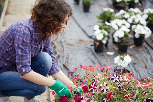 Professional turf laying work for a Queenspark home or business