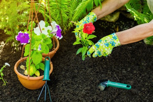 Local garden landscaping team working on a Queenspark property