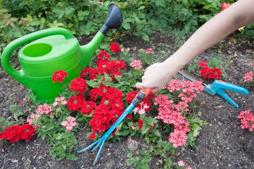 Garden waste removal and landscaping pricing discussion for a Queenspark home