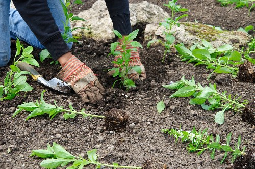Safe landscaping team working with careful site controls