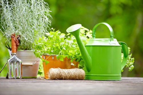 Professional follow-up after a landscaping issue is resolved