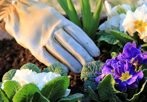 Green waste and garden materials ready for lawful disposal