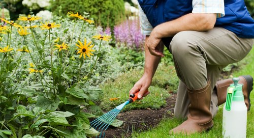 Finished landscaped garden with maintenance equipment