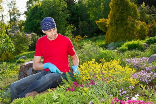 Professional landscaping planning for a Queenspark property