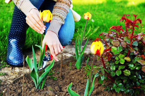 Supplier compliance checklist for landscaping procurement