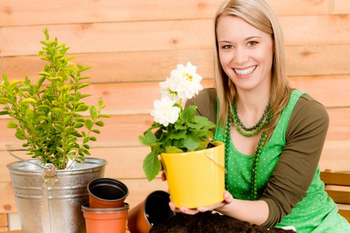 Professional border planting and soil preparation for Queenspark property