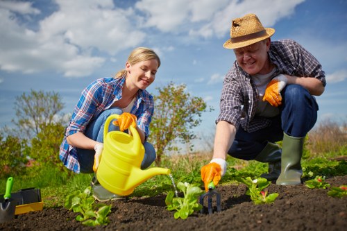 Landscaping project planning with materials and site notes