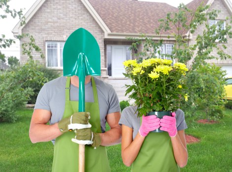 Low-maintenance artificial grass for a Queenspark home garden