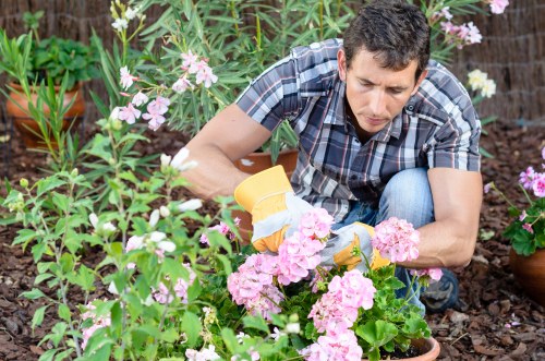 Residential garden soft landscaping and lawn replacement in Queenspark